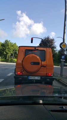 20170626_080331.jpg