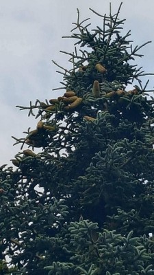 20170705_204209.jpg