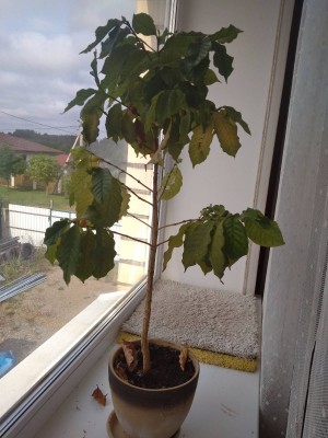2017-08-20 09-58-21.JPG