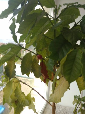 2017-08-20 09-58-41.JPG