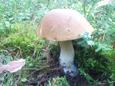 20170909_182703.jpg