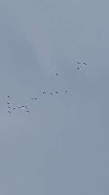 20170922_140852.jpg