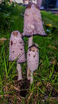 20170923_165128.jpg