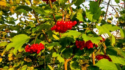 20170923_172846.jpg