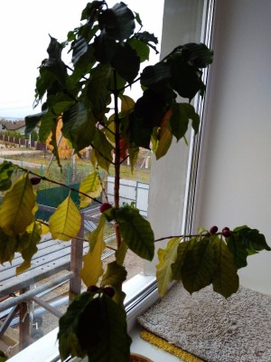 2017-10-16 12-23-57.JPG