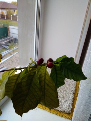2017-10-16 12-24-13.JPG
