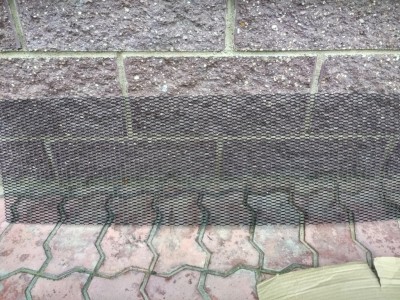 IMG_20171004_174431_HDR.jpg