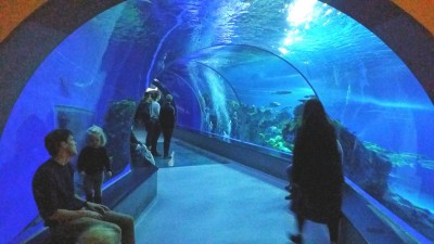20171107_073238.jpg