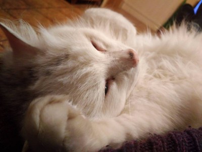 2017-12-19 21-34-32.JPG