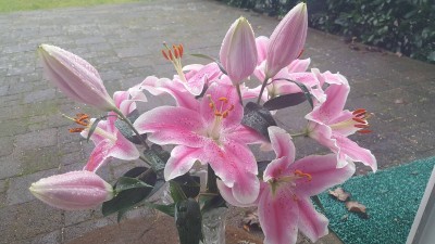 20171220_150911.jpg