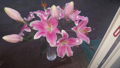 20171220_150853.jpg