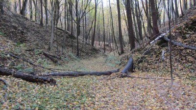 IMG_9570.JPG
