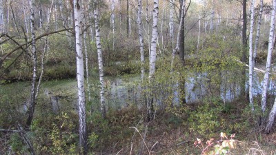 IMG_9621.JPG