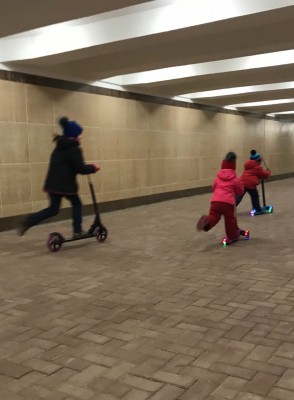 0-02-05-d2eb0d472d4bc336fd121325134f827a2469e0976fea743e241784ca36f4536e_full.jpg