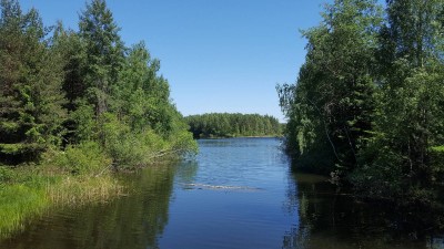20180526_133502.jpg