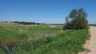 20180526_140741.jpg