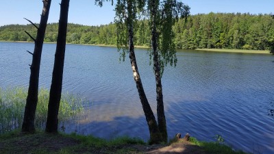20180526_153336.jpg