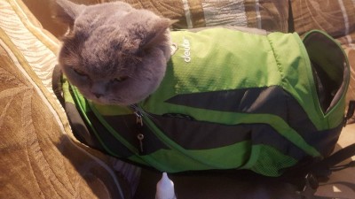 20180622_213133.jpg