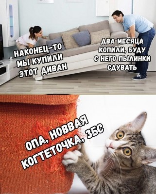 CEA9D1E4-123A-4B26-9F5A-1AAF80AF0BFD.jpeg