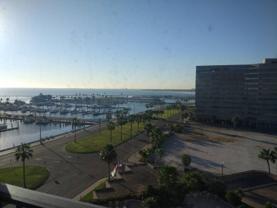 IMG_20181202_081336.jpg