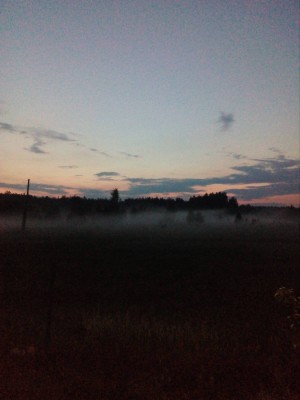 IMG_20190608_222908.jpg