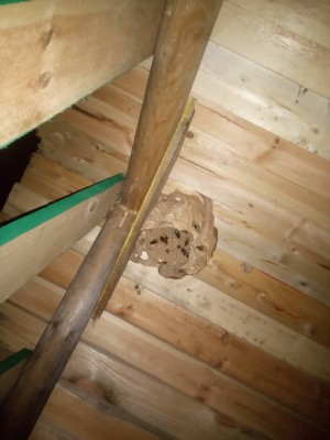 DSC_1165.JPG