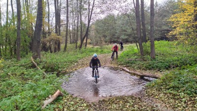 IMG_20191012_165009.jpg