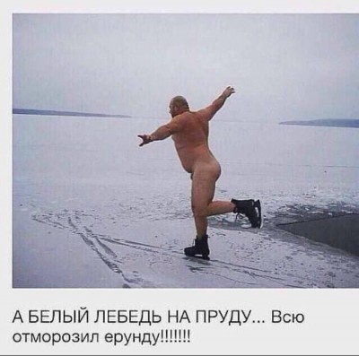 Лебедь.jpg