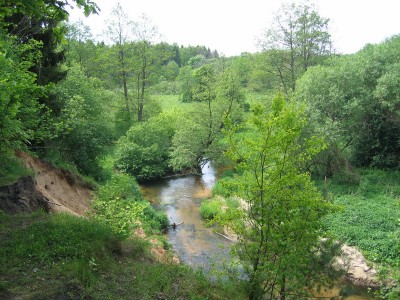 IMG_4564.jpg