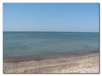 IMG_4889.JPG